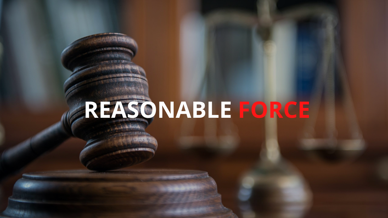 reasonable-force-video-nfps-ltd