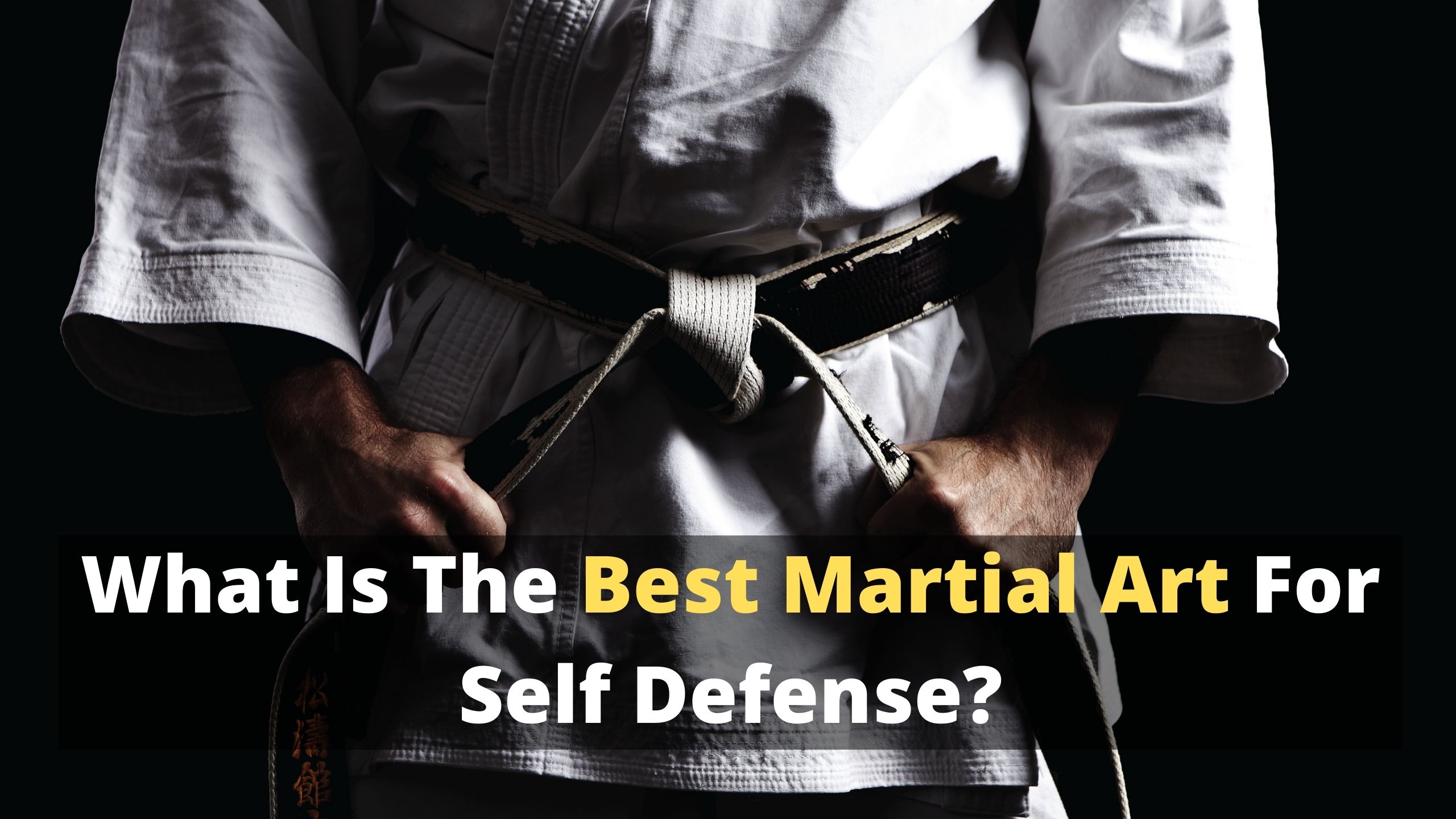 What Is The Best Martial Art For Self Defense