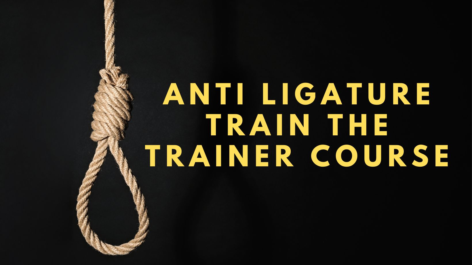 anti ligature train The Trainer Course